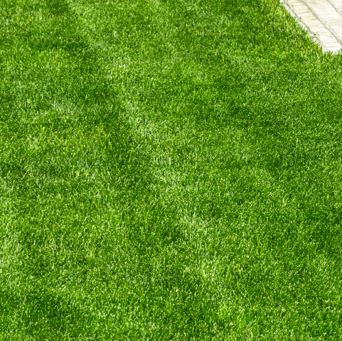plush green lawn
