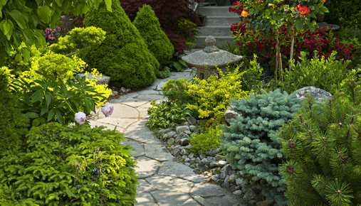 green shrubs lining a stone pathway