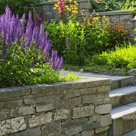 green plants and purple flowers in a stone step flower bed