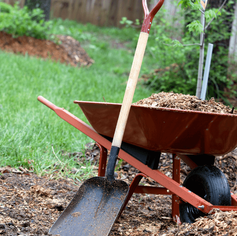 wheelbarrow and shovel on lawn in need of work