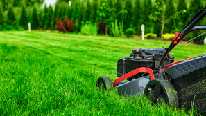 red and black lawn mower mowing high grass