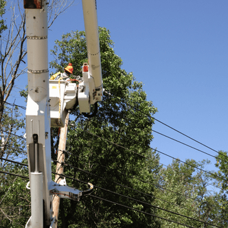 Picture of tree professional in a bucket life trimming tree branches from power lines