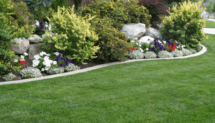 front lawn with landscaped bed with shrubs, stones, and purple, white and red flowers