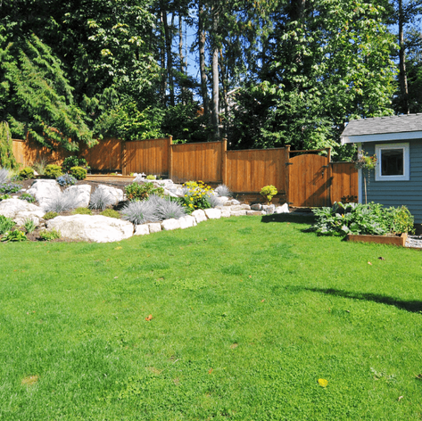 landscaped backyard with stone and green shrubs