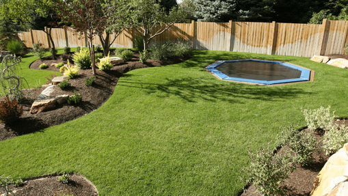 landscaped backyard with shrubs in mulch beds and inground trampoline